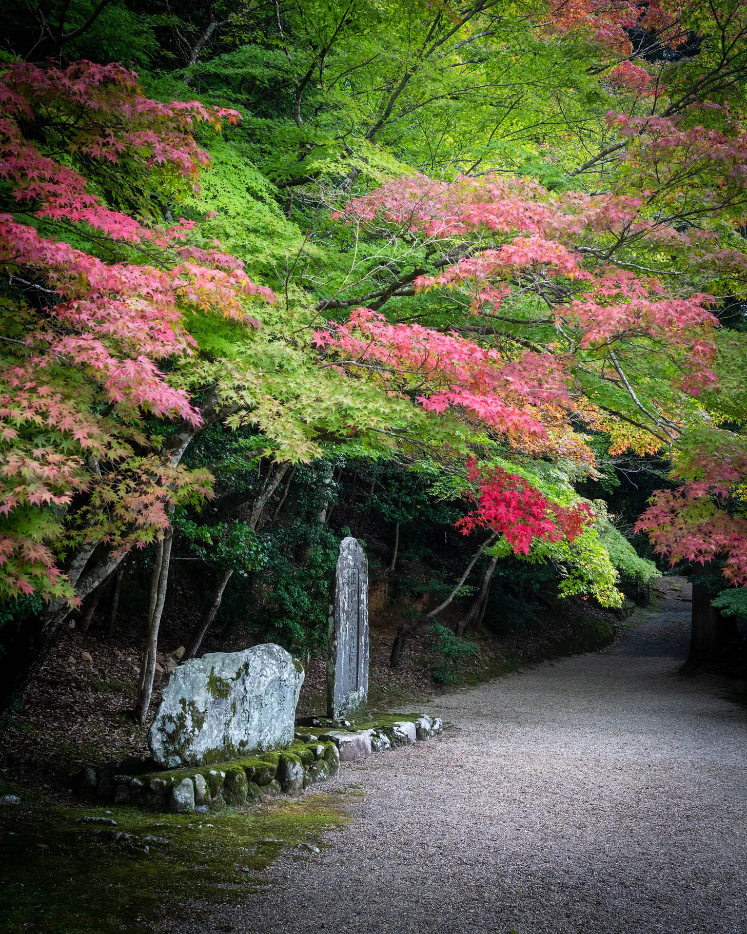 Takao and the Kiyotaki River