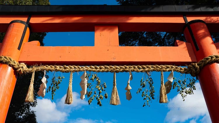 The Year of the Horse